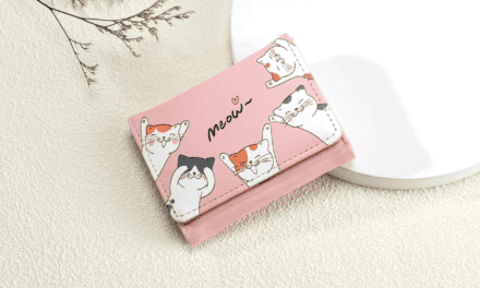 Wallets para Damas desde solo $4